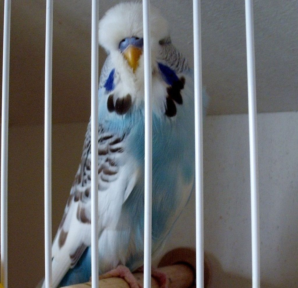 2011013.JPG
